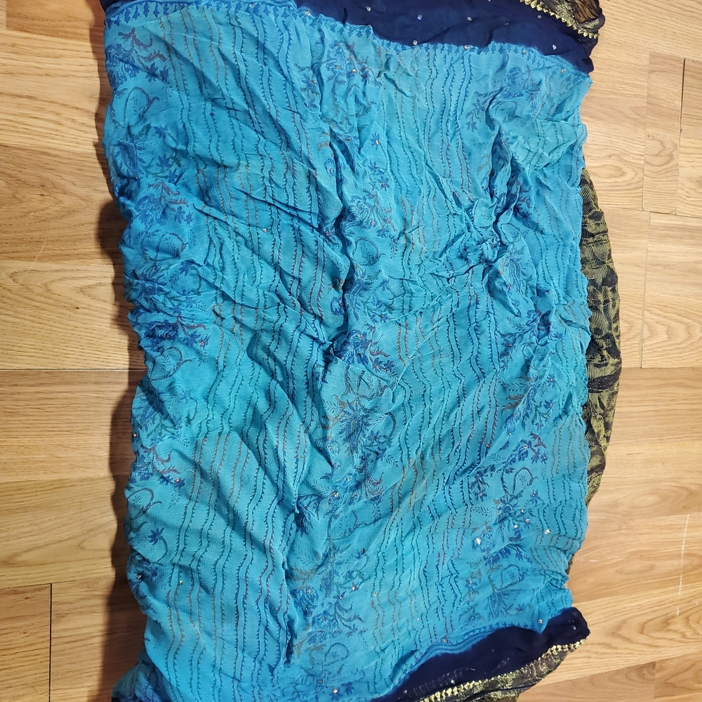 Blue and Gold Sari